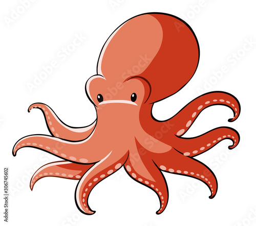 Red octopus on white background