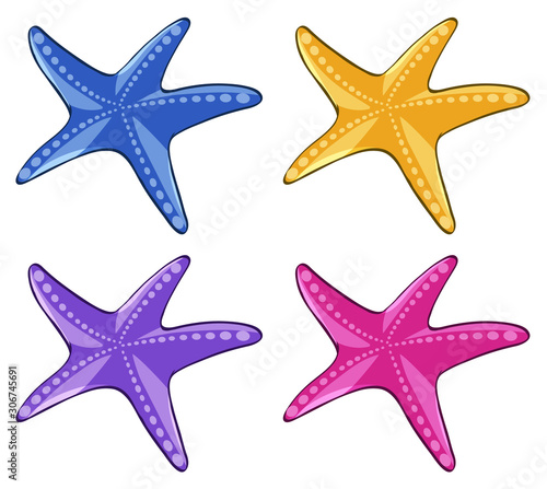 Starfish in four different colors