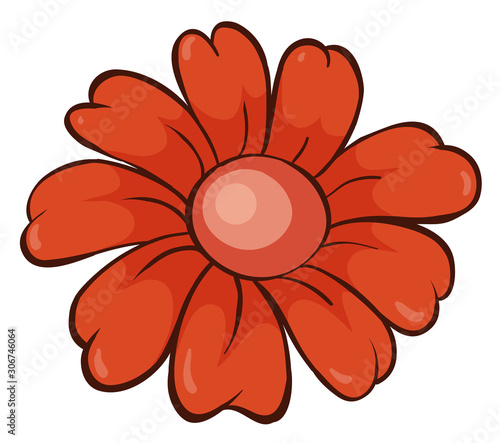 Single flower in red color