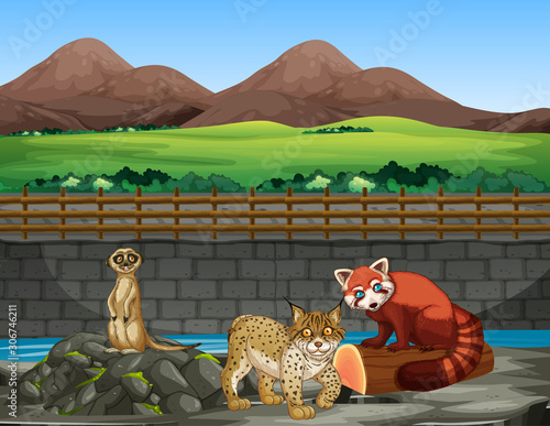 Scene with animals in the zoo
