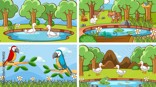 Background scenes of animals in the wild