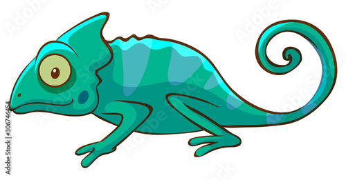 Cute chameleon on white background