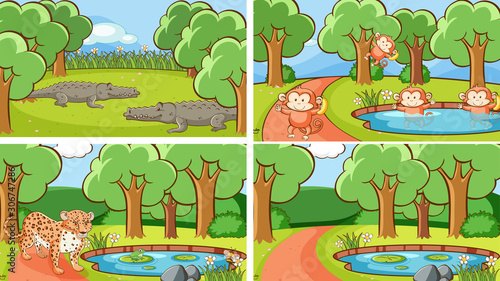 Background scenes of animals in the wild