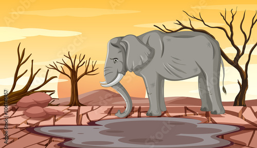 Deforestation scene with skinny elephant
