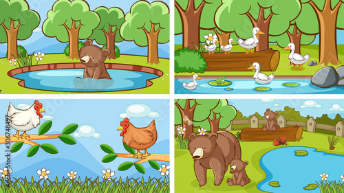 Background scenes of animals in the wild