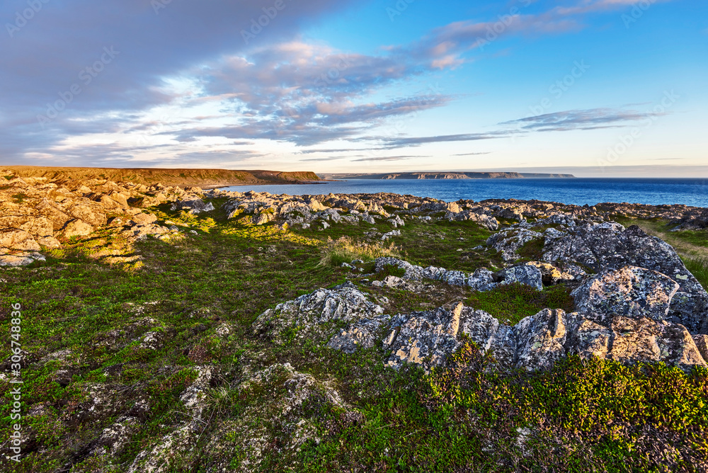 Obraz premium The rocky landscape as viewed from Hamningberg fort area in Varanger Peninsula of Norwegian Finnmark. Lands of Ytre Sylvetica natural reserve and waters of Barents Sea are at background.