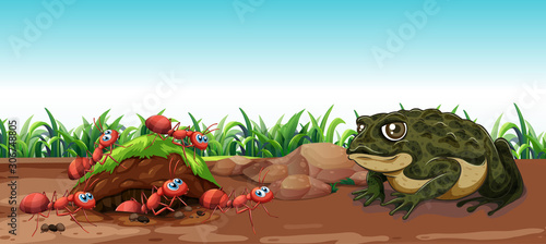 Nature scene with toad and ants