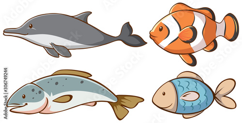 Isolated picture of sea animals