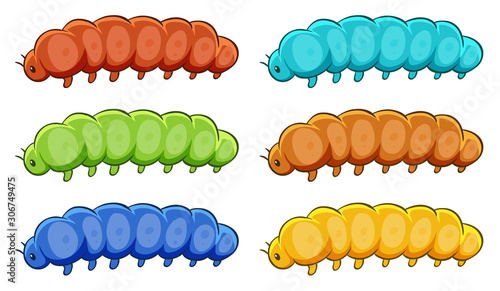 Caterpillars in many color
