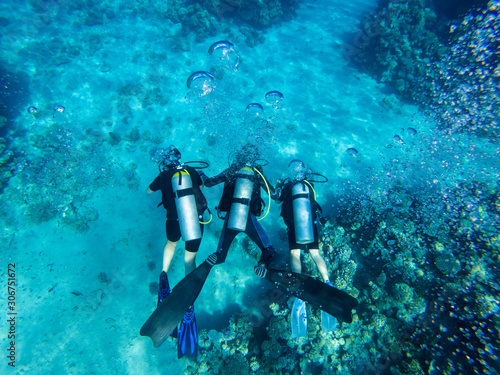 group of scuba divers swimming under water. summer concept #306751672