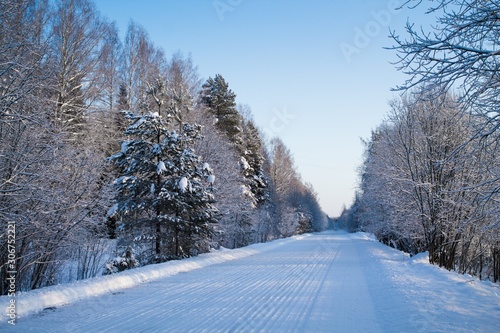 зимняя лесная дорога