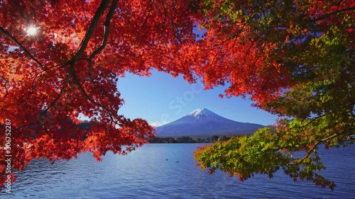 Mountain fuji with red maple in Autumn, Kawaguchiko Lake, Japan photo