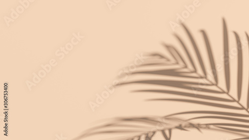 Tropical Leaves shadow on sand color background. Isolated palm tree foliage shadow flat lay minimal summer concept. 3d illustration
