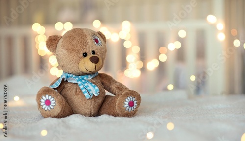 Photos teddy bear toy isolated