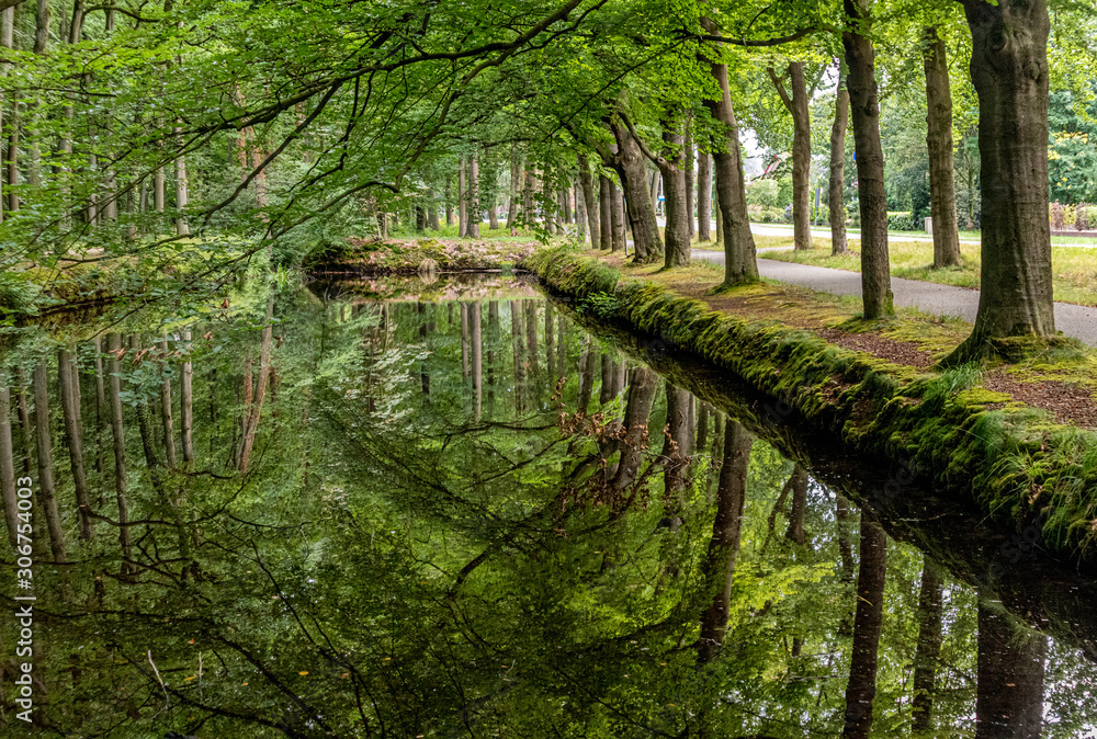 Reflections of trees in pond of Ter Horst castle in The Netherlands Reflections of trees in pond of Ter Horst castle in The Netherlands