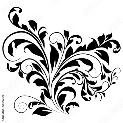 pattern in classic style, isolate on a white background, baroque ornament