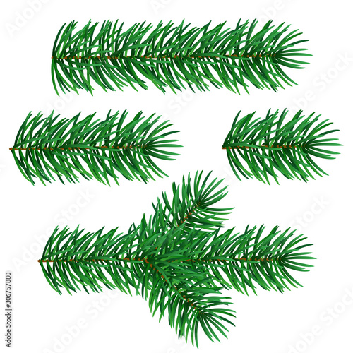 Vector set of fir tree Christmas branches isolated on white background. Vector design elements for texture and illustrator brush.