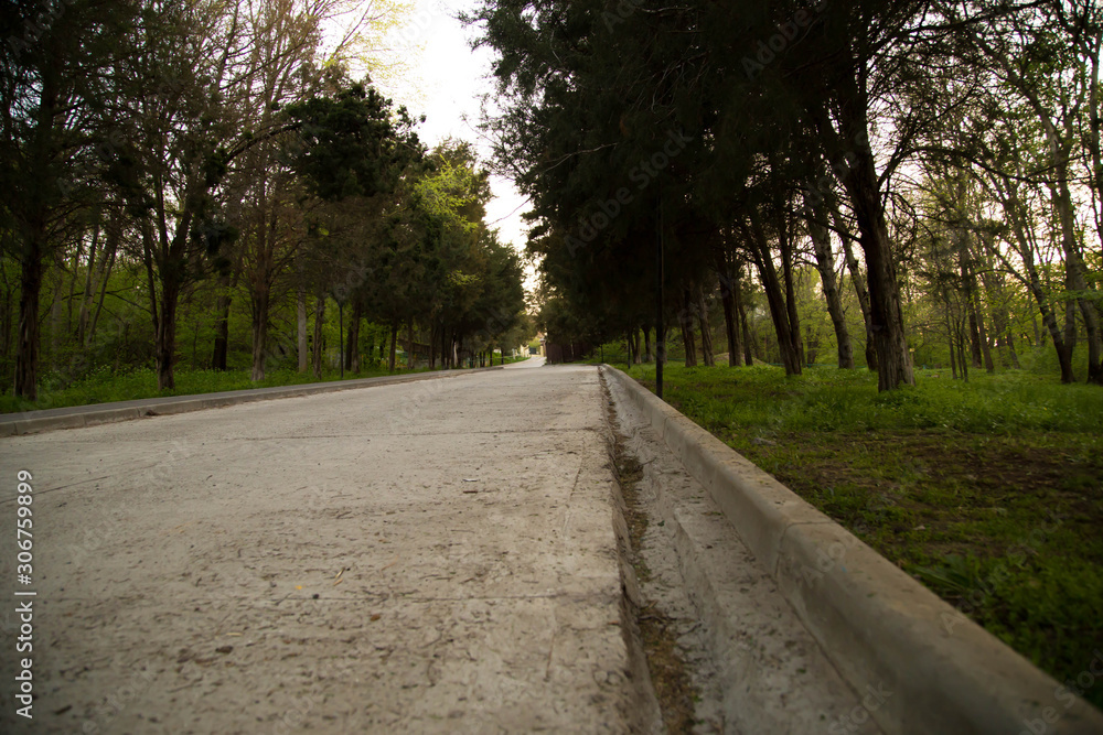 Warm sunny day. Walk through the park. Fragrant smell of flowers. Spring mood Warm sunny day. Walk through the park. Fragrant smell of flowers. Spring mood