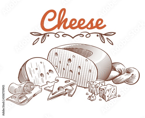 Swiss cheese sketch. Drawing vintage art ingredients for recipe with sliced cheddar and dairy gouda vector isolated engraved image