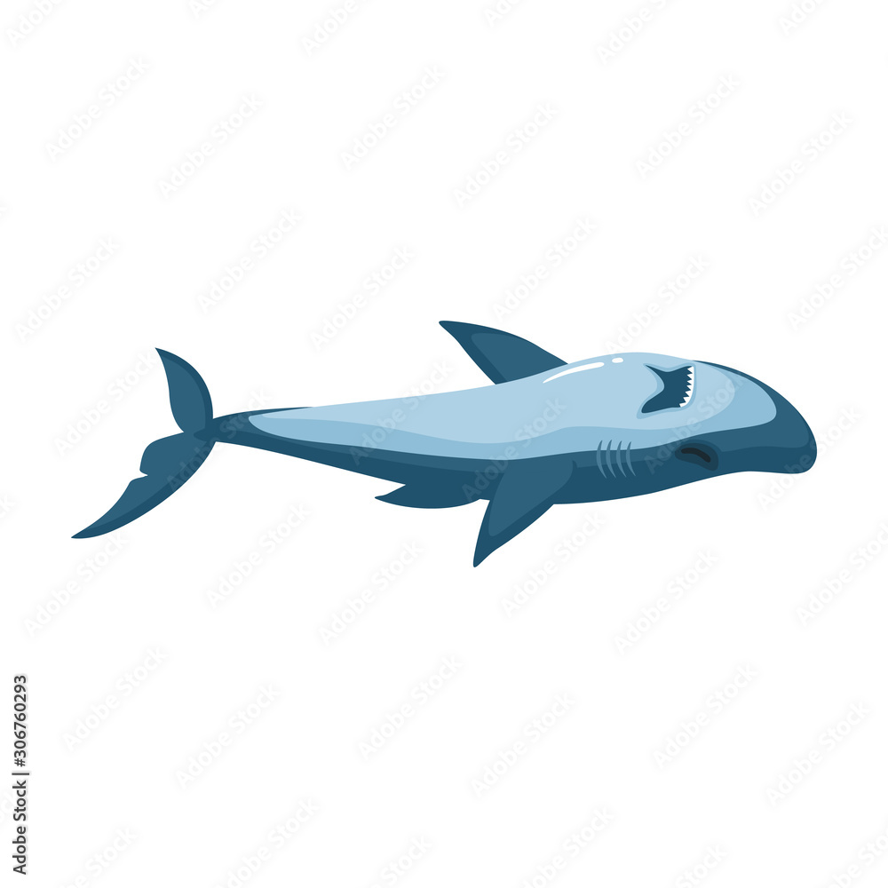 Shark vector icon.Cartoon vector icon isolated on white background shark.