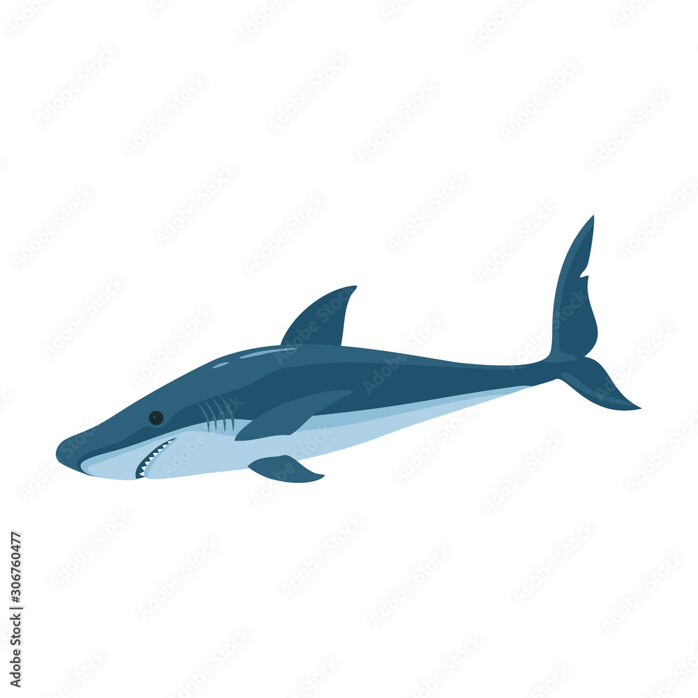 Fish shark vector icon.Cartoon vector icon isolated on white background fish shark . Fish shark vector icon.Cartoon vector icon isolated on white background fish shark .