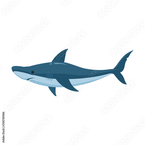 Fish shark vector icon.Cartoon vector icon isolated on white background fish shark .