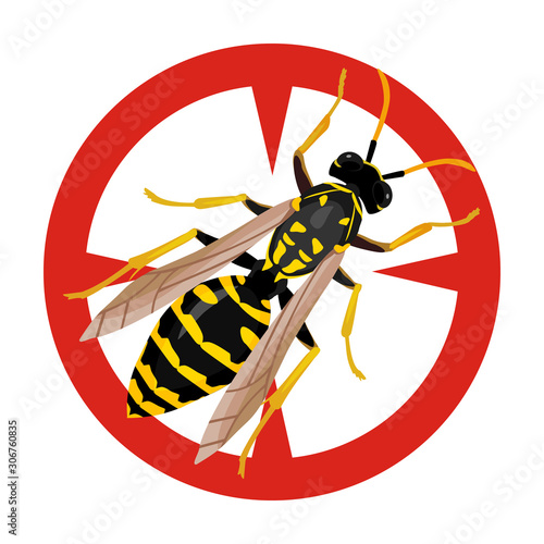 Insect wasp vector icon.Cartoon vector icon isolated on white background insect wasp .