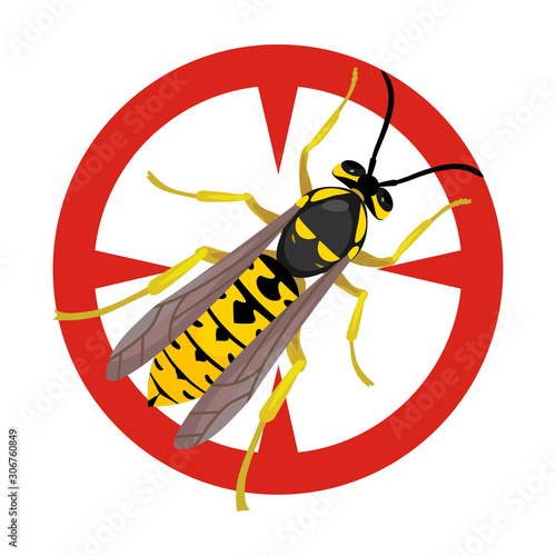 Hornet vector icon.Cartoon vector icon isolated on white background hornet.