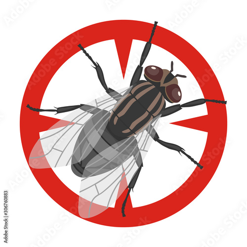 Insect fly vector icon.Cartoon vector icon isolated on white background insect fly.