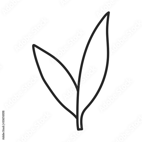 Leaves of sugarcane vector icon.Line vector icon isolated on white background leaves of sugarcane .