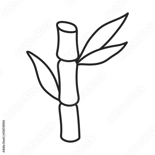 Stem of sugar cane vector icon.Line vector icon isolated on white background stem of sugar cane .