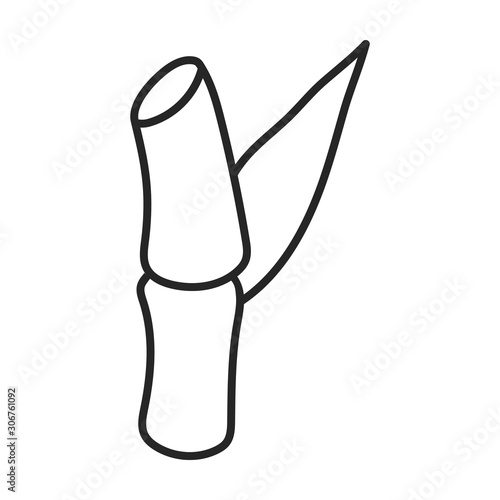 Stem of sugar cane vector icon.Line vector icon isolated on white background stem of sugar cane .