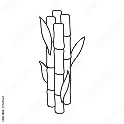 Stem of sugar cane vector icon.Line vector icon isolated on white background stem of sugar cane .