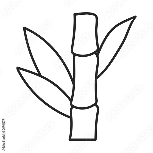 Stem of sugar cane vector icon.Line vector icon isolated on white background stem of sugar cane .