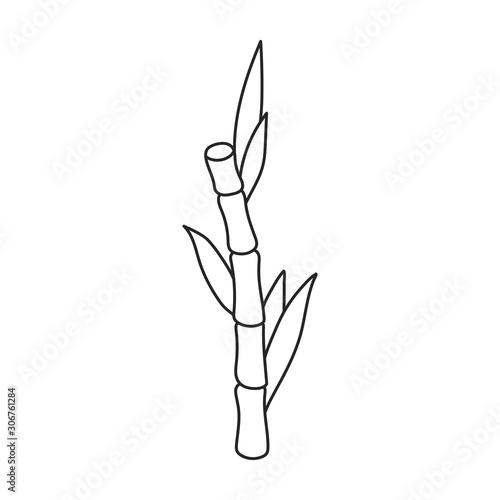 Stem of sugar cane vector icon.Line vector icon isolated on white background stem of sugar cane .