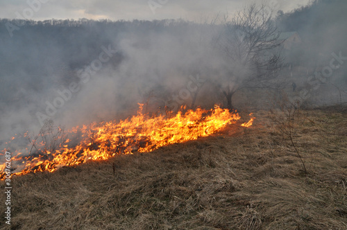 In spring, a dry grass is burned