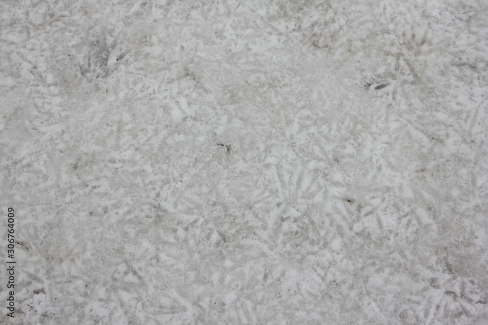 White snow with birds footprints tracks close up, winter pattern texture background White snow with birds footprints tracks close up, winter pattern texture background