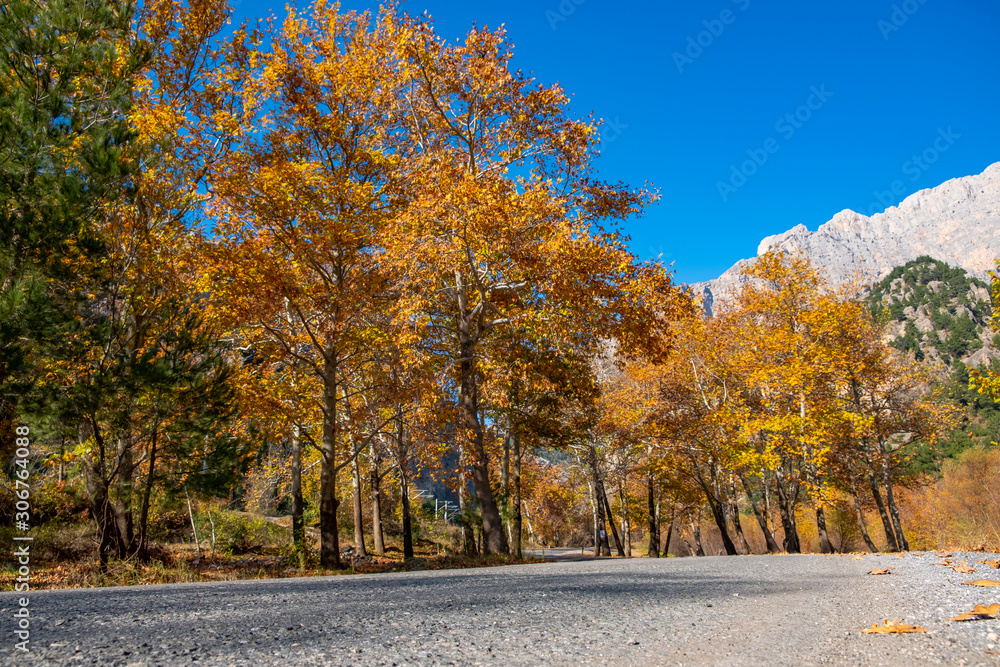 Belemedik Natural Park autumn season colors