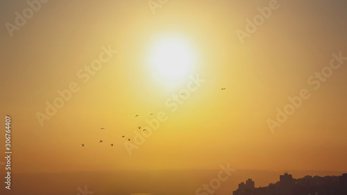 Silhouettes of Flying Birds over the City of Haifa in Israel. Sunrise in the morning.