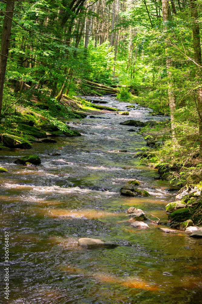 Obraz premium Going Upstream