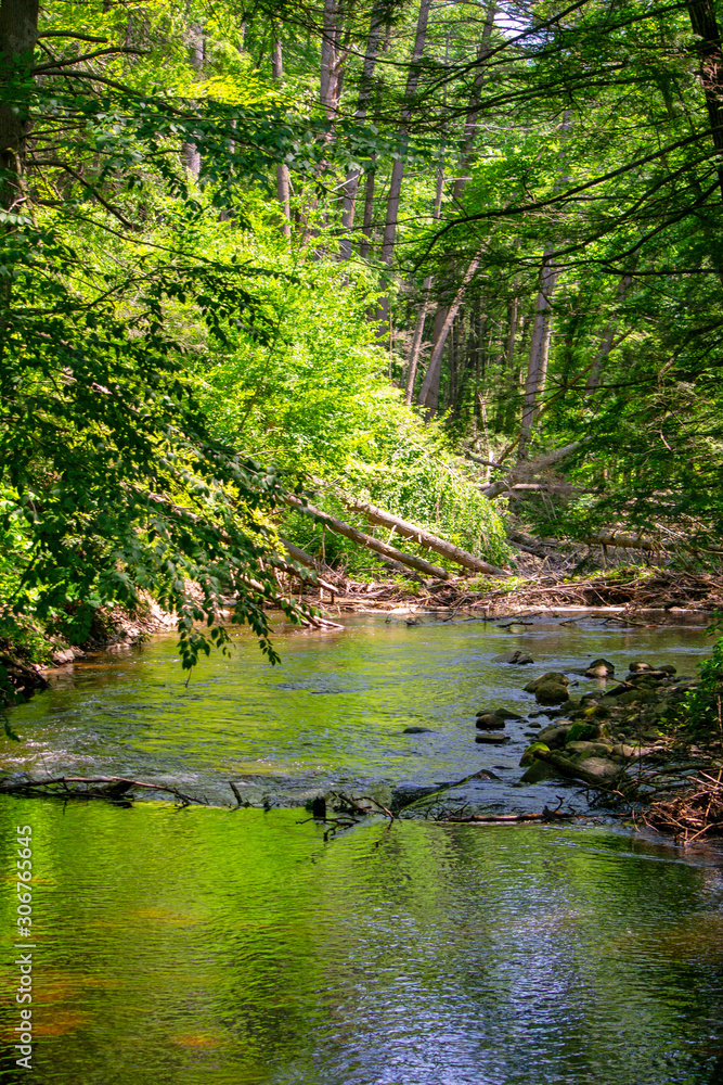 Reflection in Stream Reflection in Stream