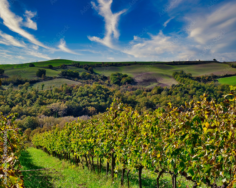 Fototapeta premium 019-11-06 ROLLING FARM LAND IN TUSCANY