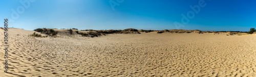 Panoramic view of Oleshky Sands on a blue sky in the Kherson region in Ukraine  the largest desert in Europe. Horizontal shot. 