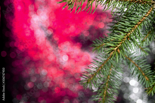 Fir branch on a bokeh background with pink-gray.