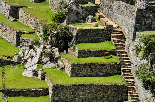 Machu Picchu Lawn Care