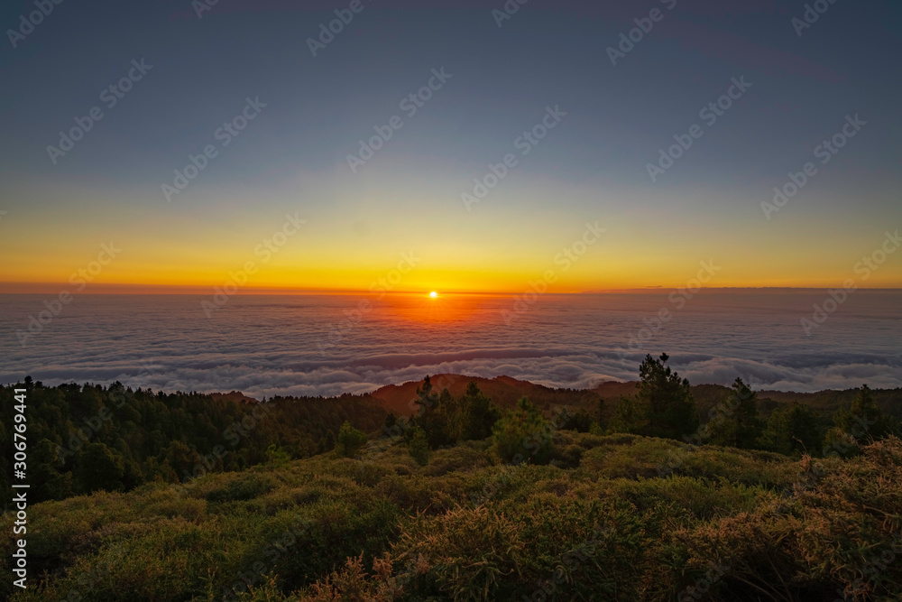 Obraz premium burning sun rising between clouds in the forest