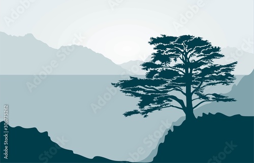 landscape with lebanese cedar tree, sea and mountains