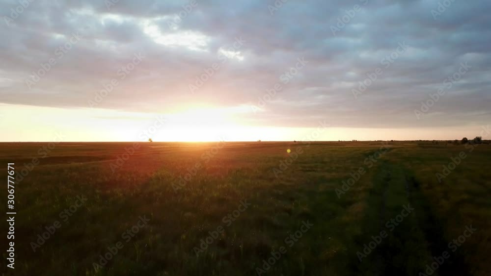 aerial view of road in the steppe at sunrise, dirt road in the wild steppe at dawn, flight over wild steppe grass by the road aerial view of road in the steppe at sunrise, dirt road in the wild steppe at dawn, flight over wild steppe grass by the road