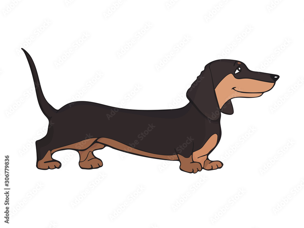 Dachshund. Silhouette of a cute dog in brown tones on a white background. Doggie character in cartoon style. Hand-drawn color sketch. Outline graphic arts. Linear icon. Isolated vector illustration.
