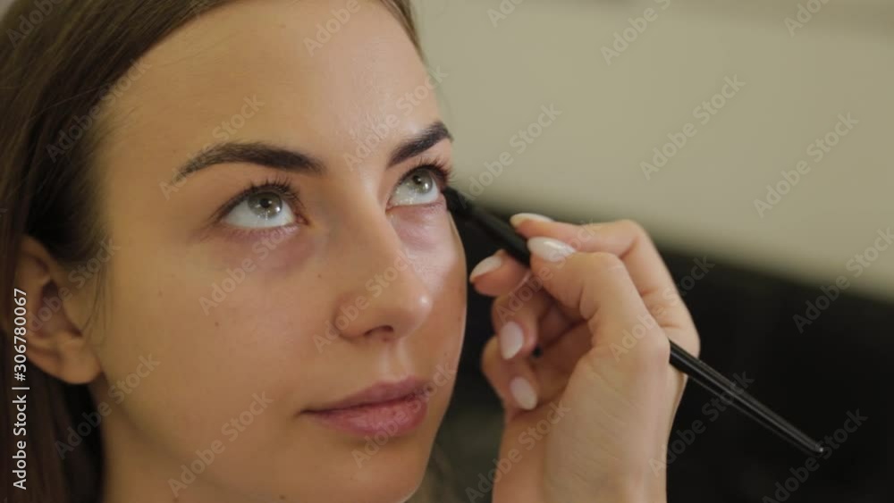 Professional eye makeup. Stylist makeup artist applies makeup to a young woman with a special brush in a beauty salon. Professional eye makeup. Stylist makeup artist applies makeup to a young woman with a special brush in a beauty salon.